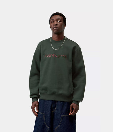 CARHARTT WIP CARHARTT SWEATSHIRT I030546 DARK SCARAB PALISANDER